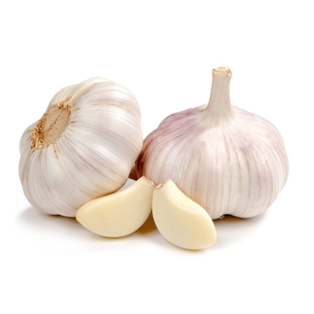 White Garlic