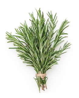 Rosemary