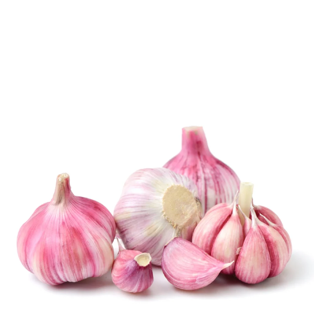 RED GARLIC