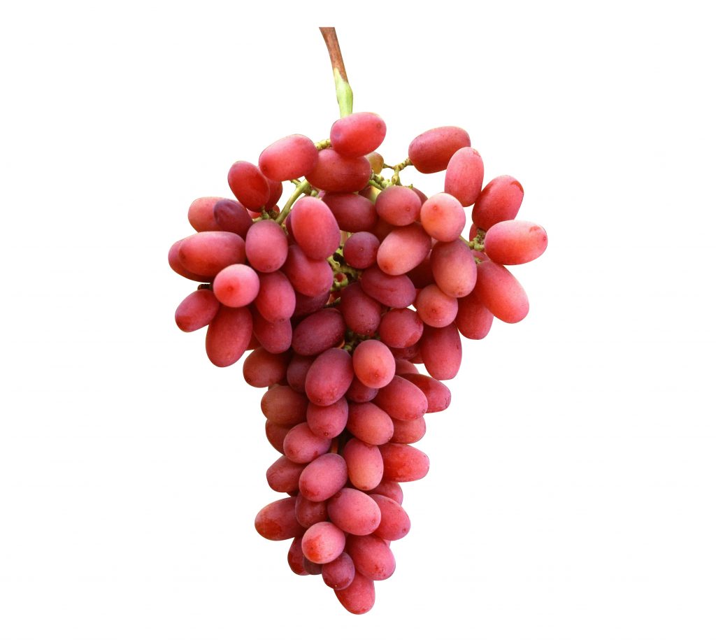 Crimson Grapes