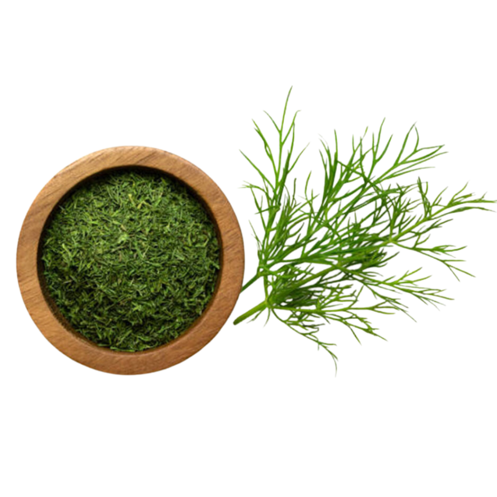 Dried Dill