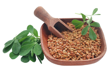 Fenugreek Seeds