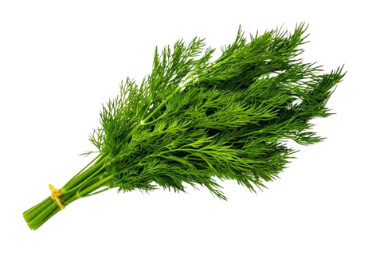 Dried Dill